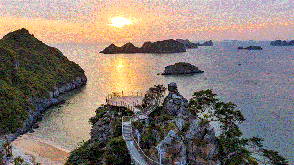 Cẩm nang du lịch Cát Bà 2025