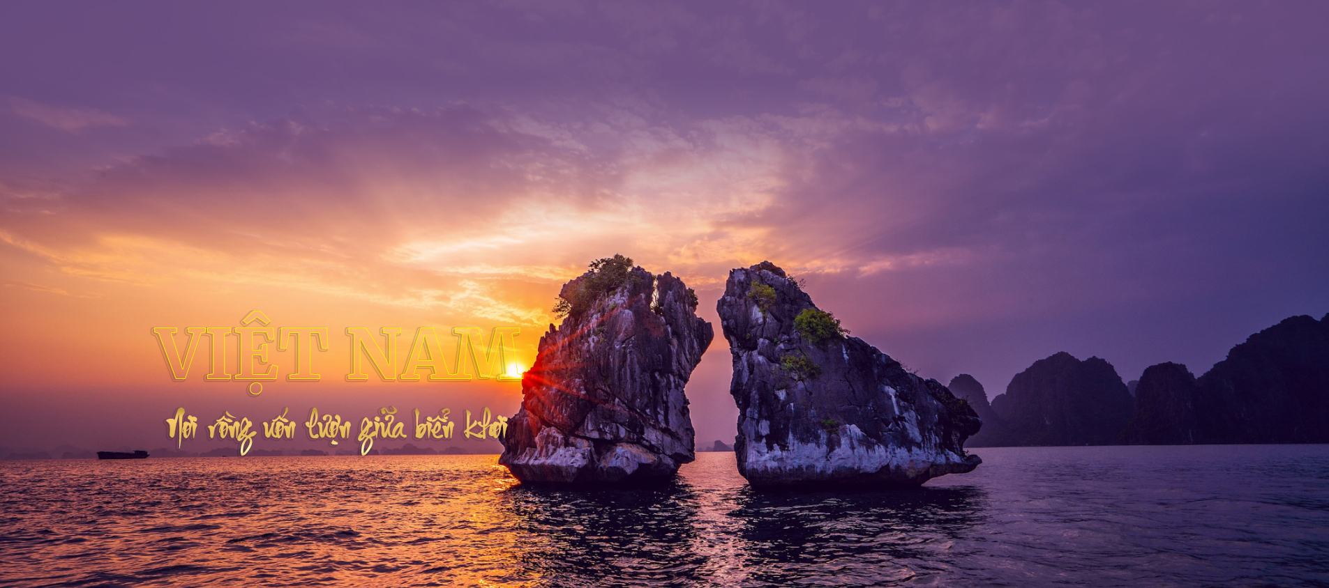 Tổng hợp tour miền Bắc