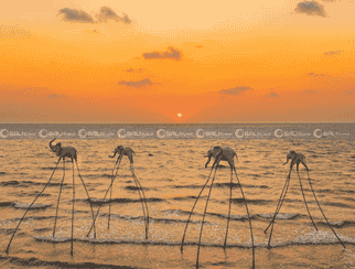 Khám Phá Đảo Ngọc Phú Quốc 4N3D